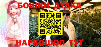 apvp Гатчина