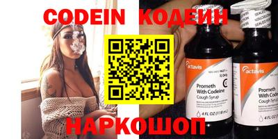 apvp Гатчина