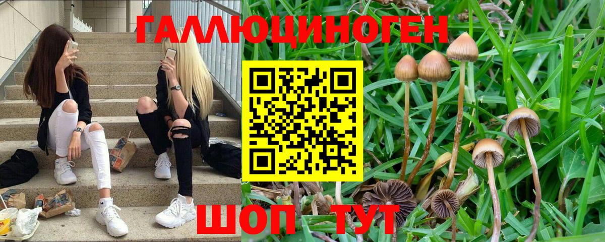 МАРИХУАНА  Cocaine  Купить наркотик  Вход с VPN  Геленджик  Гашиш  ГАШ  Меф кристаллы  Метадон 